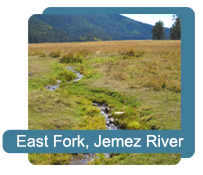 East Fork, Jemez River