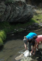 Photo of children conducting research in stream
